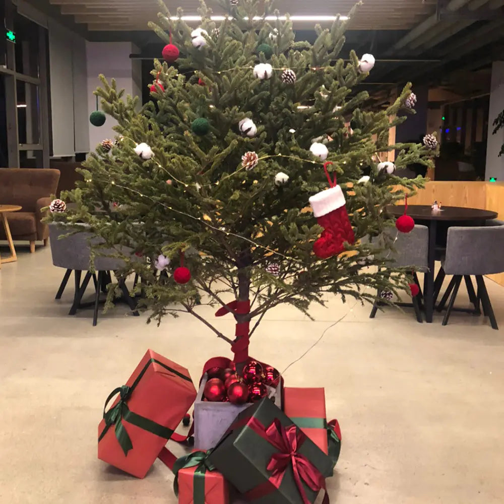 Festive Knit Letter Socks