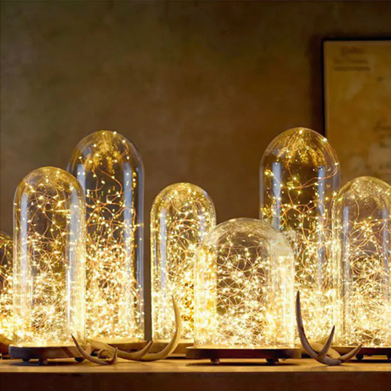 Fairy Bottle Cork LED Lights