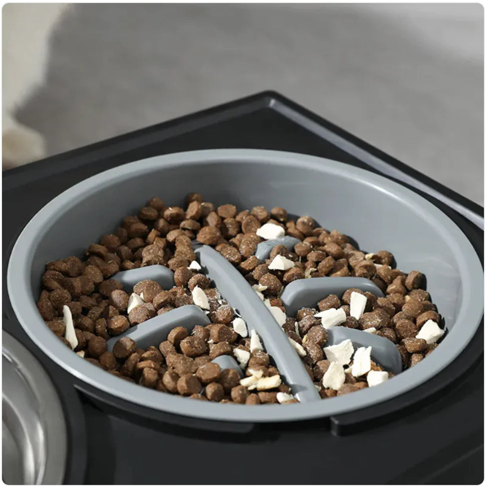 Adjustable Height Slow-Feeder Bowl